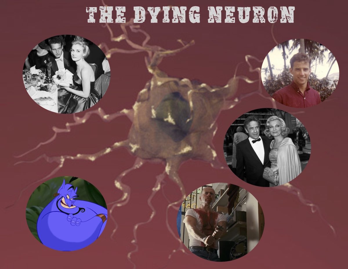 The Problem of the&nbsp;Brain